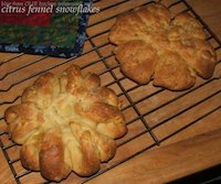 Citrus Fennel Snowflakes