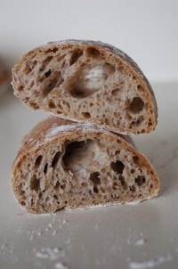 Beer Yeast Sour Dough