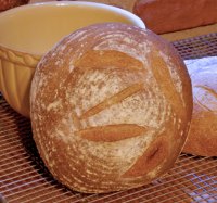 Sourdough Corn-Barley Bread