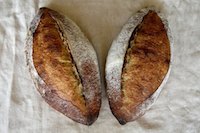 San Joaquin Sourdough