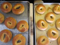 La Brea Sourdough Bagels