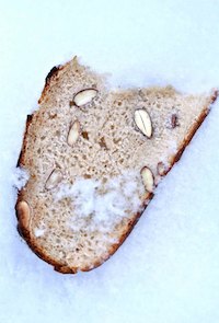 Almond Bread With Durum Wheat
