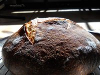 Joe Ortiz Pain De Campagne