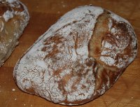 Ciabatta With Carmelized Onions, Rye & Spelt