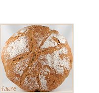 No-Knead Emmer Bread