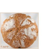 No-Knead Emmer Bread