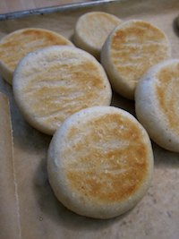 Sourdough English Muffins