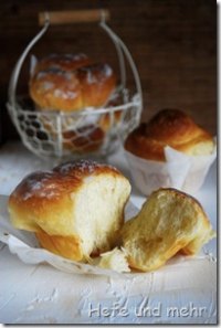 Cream Brioche