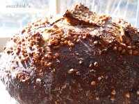 Buckwheat-Pear Sourdough W/Pear Hard Cider