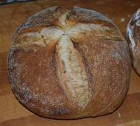 Alaskan Sourdough