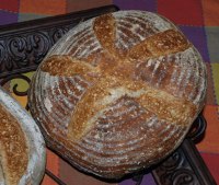 San Francisco Sourdough 4.5-from Dave Snyder