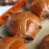 Chocolate Hot Cross Buns