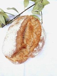 Swiss Country Bread