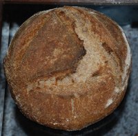 Whole Wheat Desem, Quinoa, Barley Flour & ¬†Onions