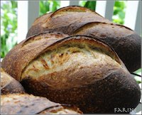 Diane Andiel's Norwich Sourdough