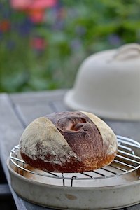 My Shepherd Bread Has Belly Button