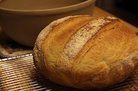 Shephard's Bread