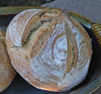 Sprouted Wheat Oat Flour Sourdough