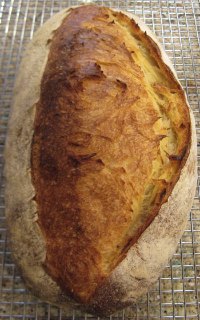 Pane Tipo Di Altamura