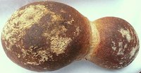 Bread Of Canton Basel