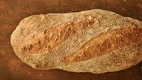 Sunflower Seed Batard