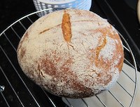 Polenta Bread