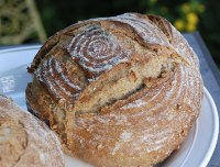 Mudslide-Coffee-Multi-grain-Sourdough