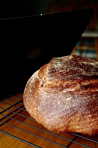 Whole Wheat Sourdough Boule