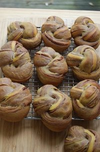 Pumpkin Chocolate Rolls