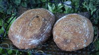 Cherry Quinoa Sourdough