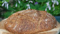 Pecan Multi-grain SD Miche