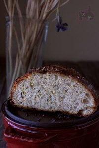 Zucchini Parmesan Sourdough