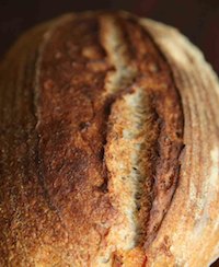 Caraway Seed-Cheese-Sourdough