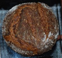 Mocha Multi-grain Sourdough