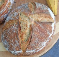 Plantain Sourdough