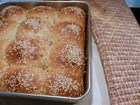 Fragrant Whole Wheat Dinner Rolls