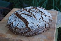 Pumpernickel Yeast Water Miche