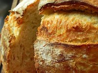 Ciabatta With Poolish