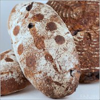 Apple-Blueberry Spelt Bread With Chia Seeds