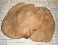 Whole Wheat Large Soudough Naan