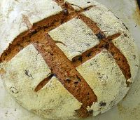 Olive Semi-Sourdough Boule