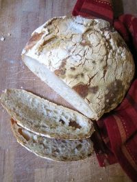 Shawnigan Sourdough