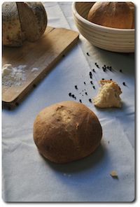 Ricotta Bread