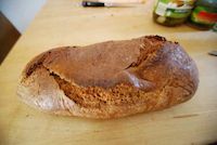 Ricotta-Parmiggiano Bread