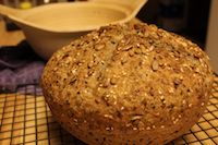 Multi-grain Sourdough Spelt In A Pot