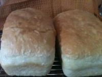 Melissa's Kefir Bread