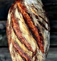 Durum Wheat Sourdough