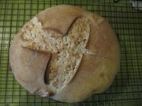 Apple Yeast Rye Bread