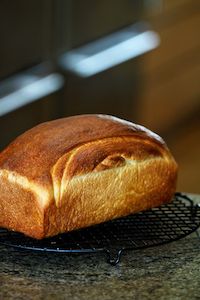 Chocolate Cinnamon Babka