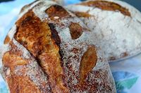 Sourdough Spelt Country Loaf